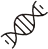 孕期运动课程