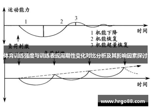 体育训练强度与训练表现周期性变化对比分析及其影响因素探讨
