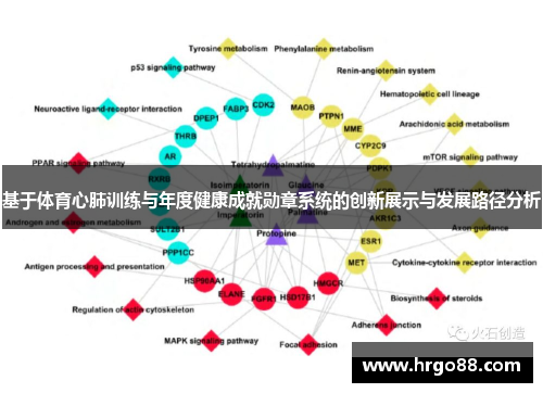 基于体育心肺训练与年度健康成就勋章系统的创新展示与发展路径分析